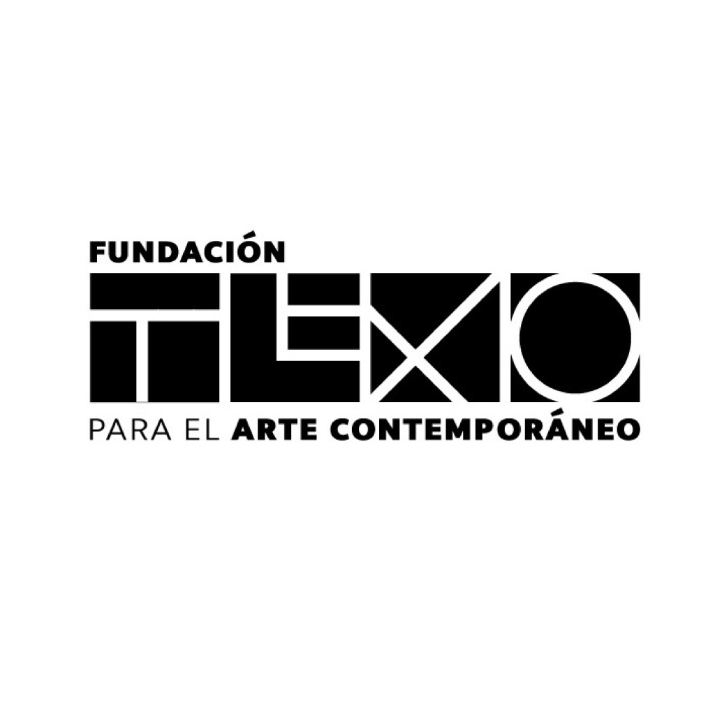 logo-fundacion-texo